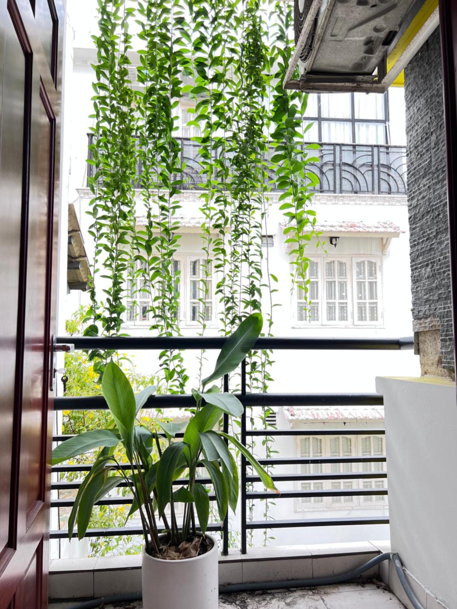 Co Homestay Saigon مدينة هوشي منه المظهر الخارجي الصورة